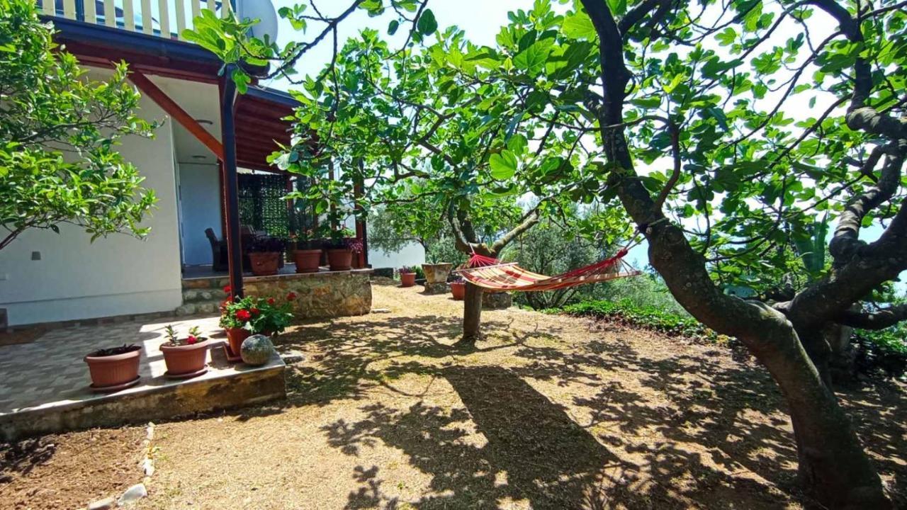 Apartment Улцин Екстериор снимка